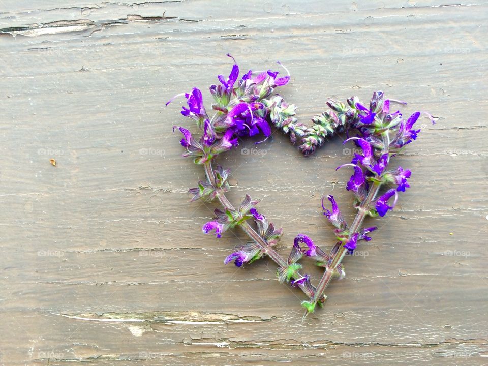 Sunday Love. Flower Heart