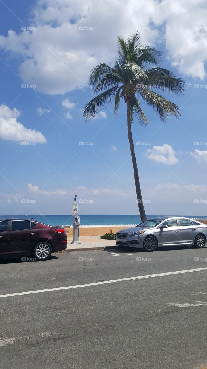 Beach, Car, Vehicle, No Person, Travel