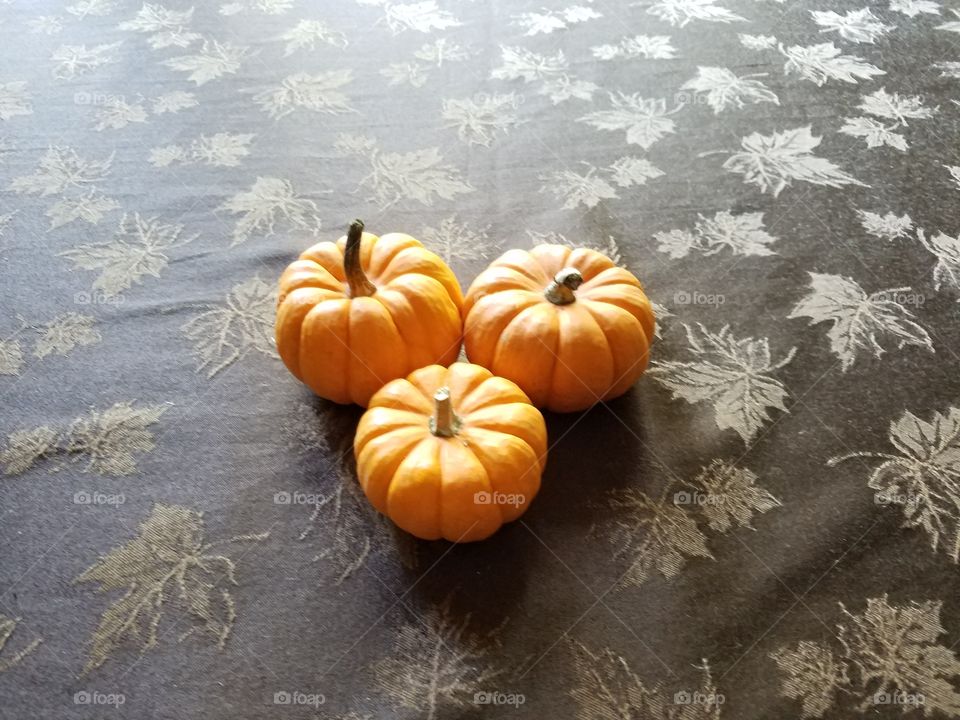 Tiny pumpkins