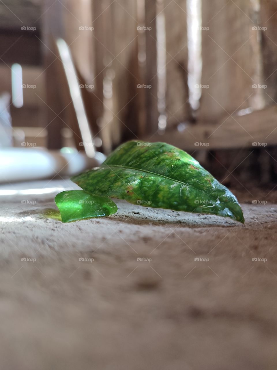 The fallen leaves still look beautiful even though they look weak