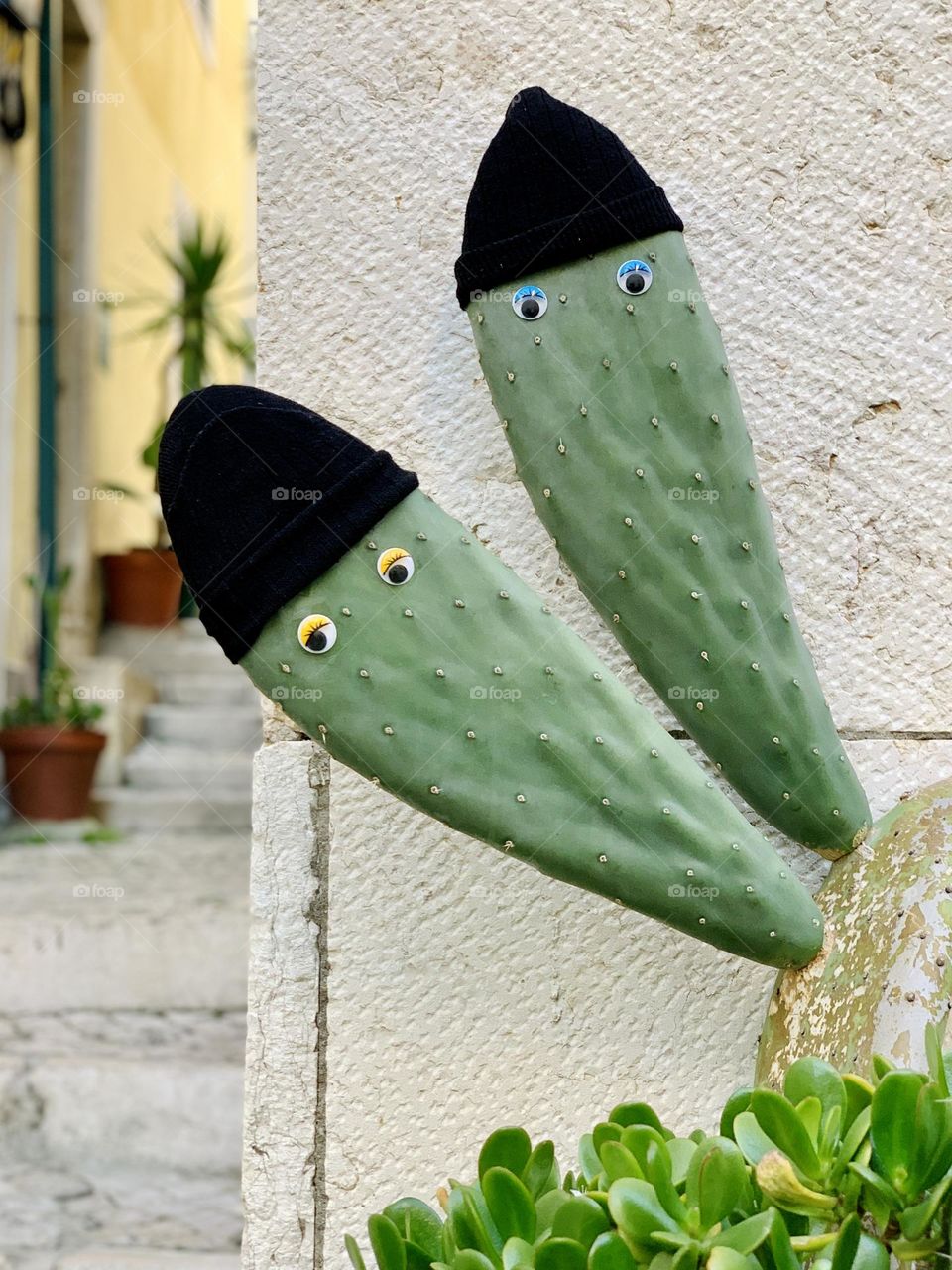 Funny plant 