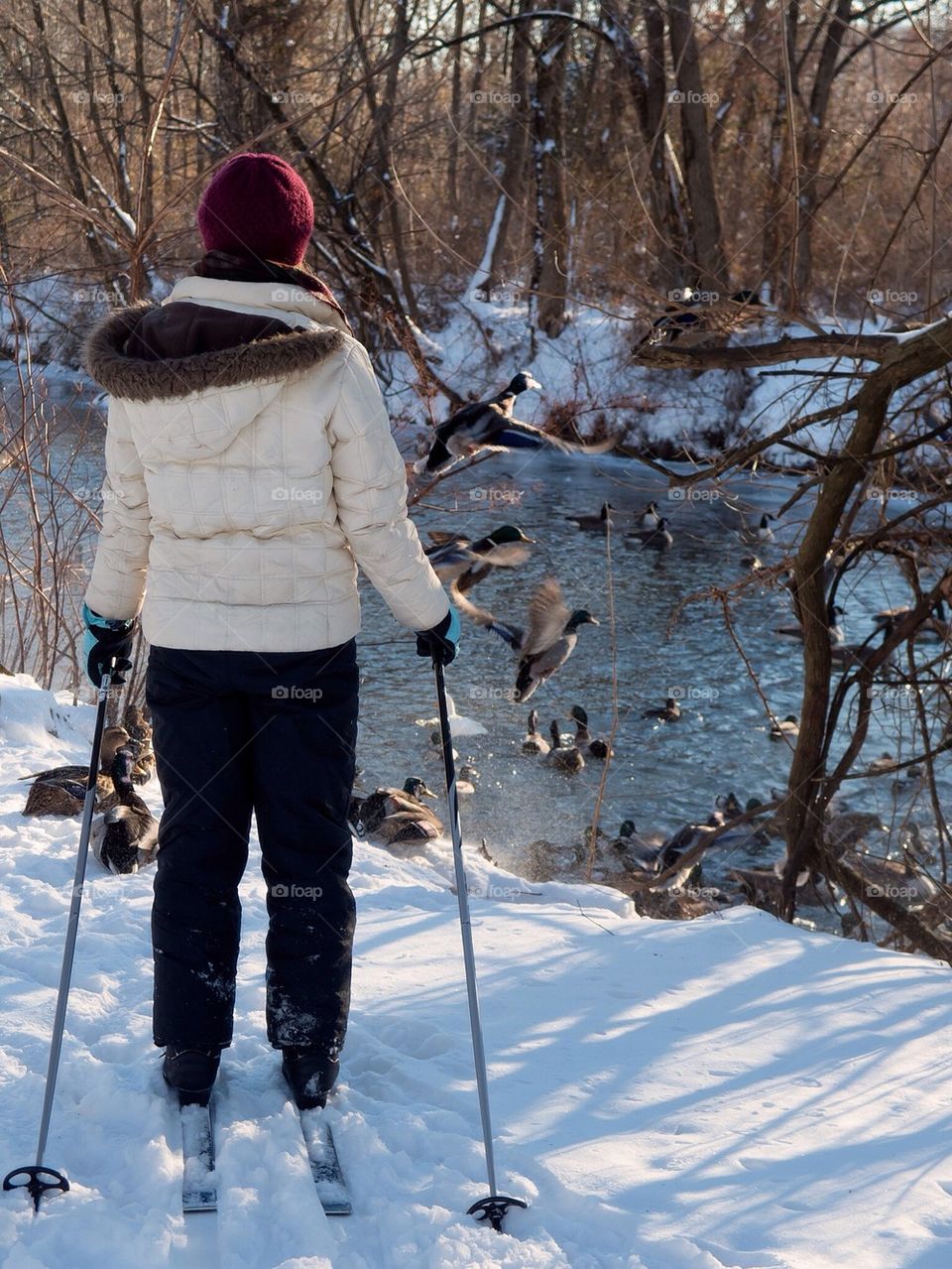 Cross-country skiing Lambertville New Jersey