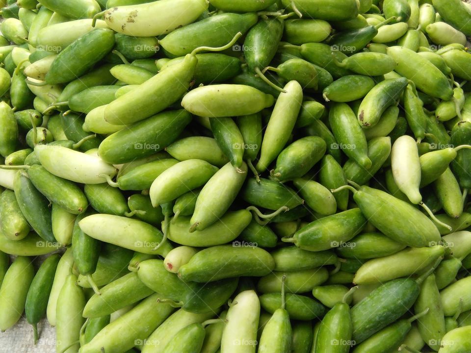 village vegetable kundru
