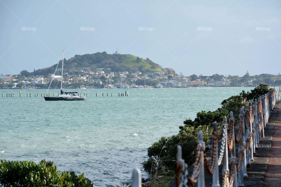 Auckland Harbour 