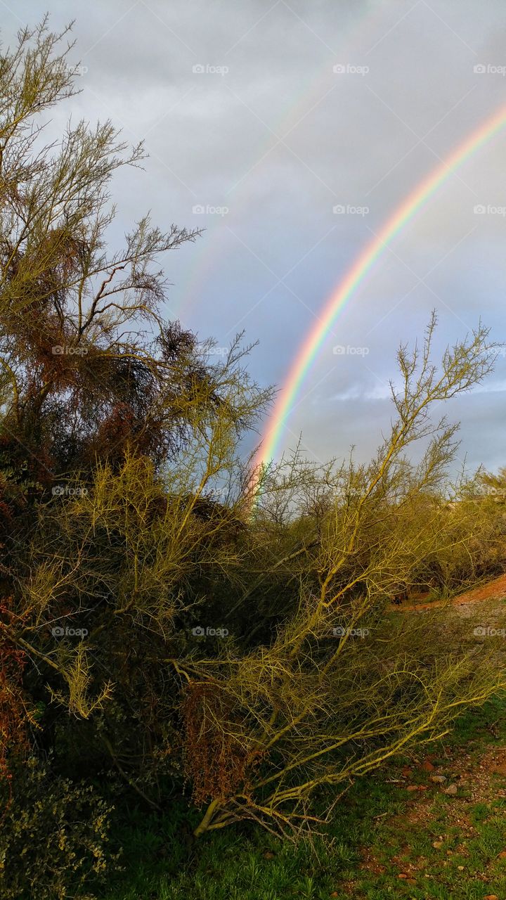 Vibrant colors of a desert rainbow.