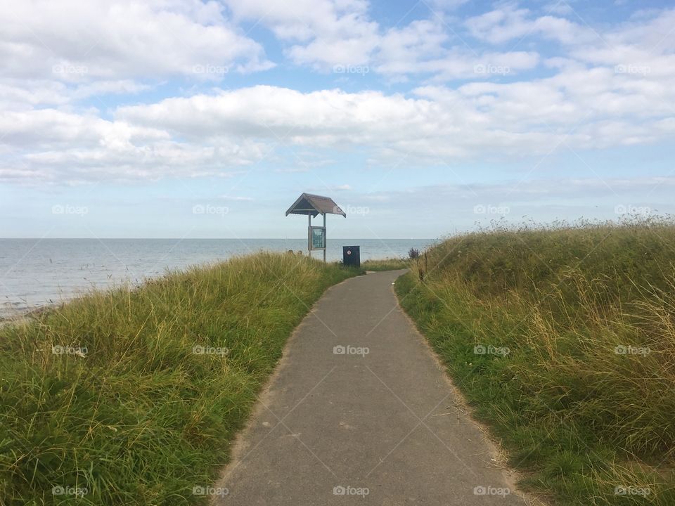 No Person, Landscape, Grass, Road, Sky