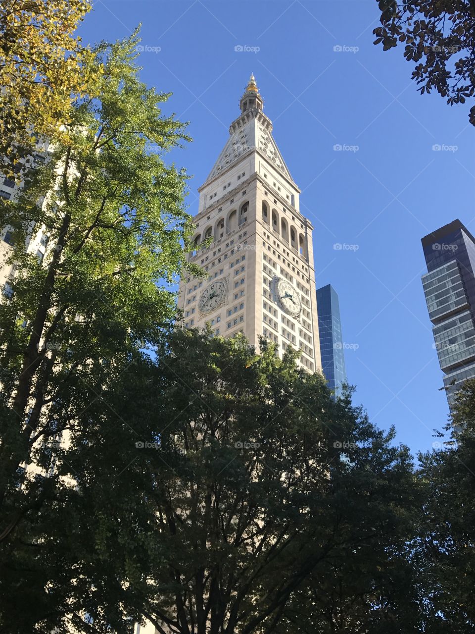 Madison Square Park NYC
