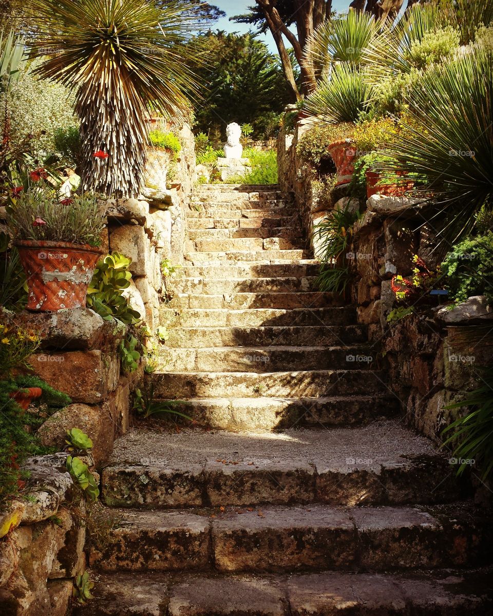 steps in exotic garden