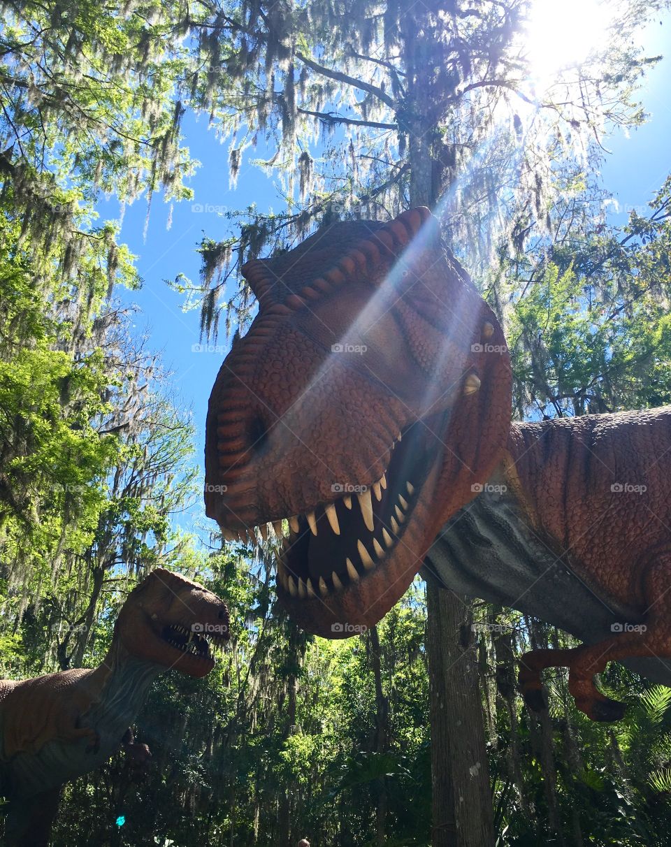 Tyrannosaurus Rex