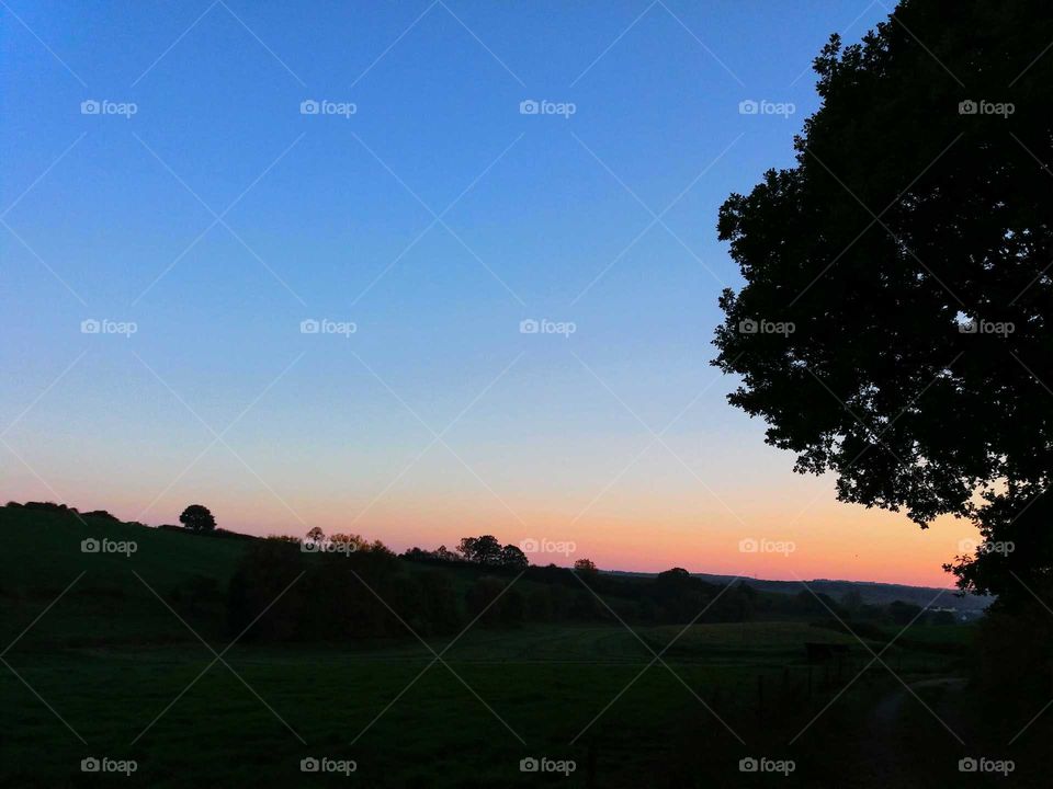 fall evening fields