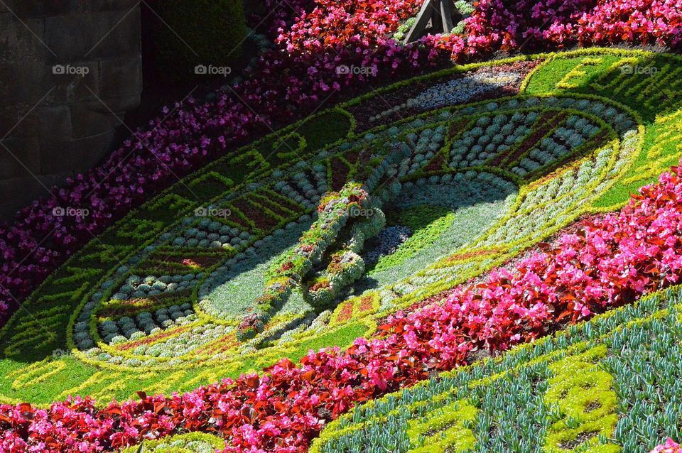 Flowers. Flower arrangement in Edinburgh Princes Street Gardens 