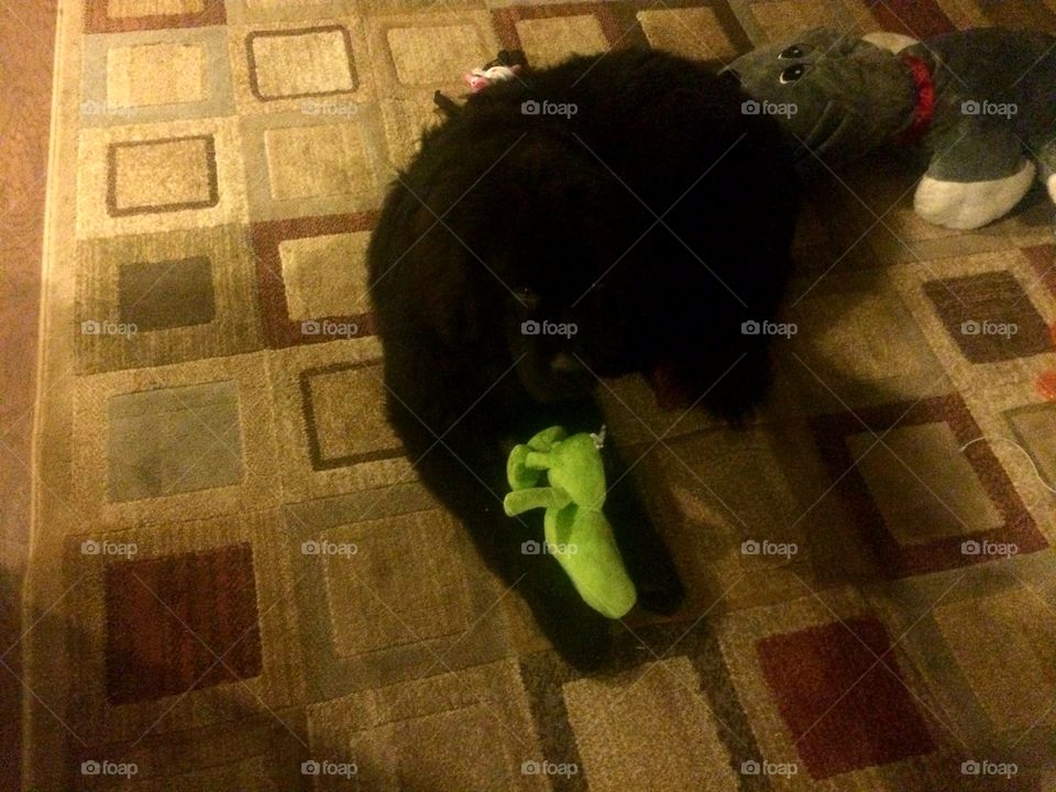 Indoors, Floor, People, No Person, Desktop