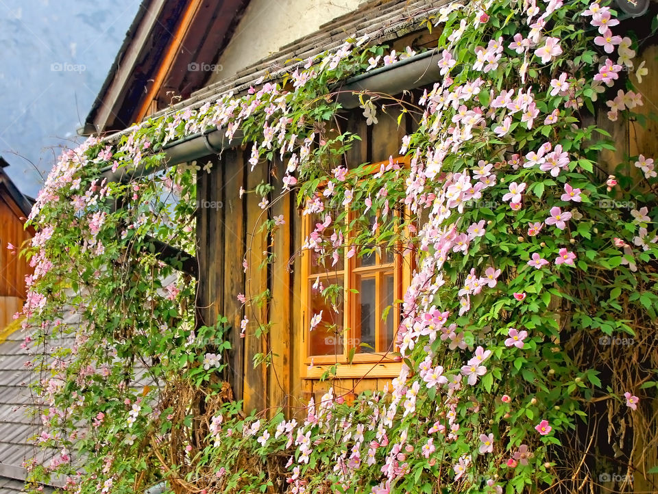 Beautiful window in Spring . Beautiful window in Spring at Hallstatt, Austria, Europe 