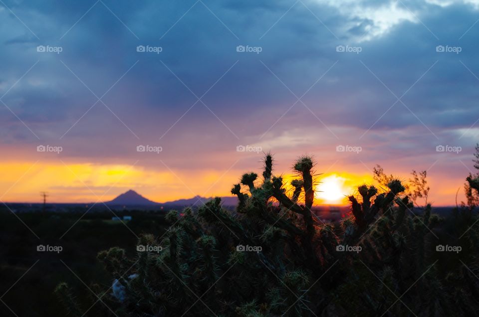 Arizona Sunset