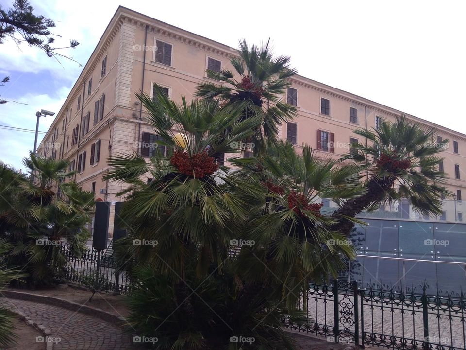 Editors' Choice - Photo of the Week