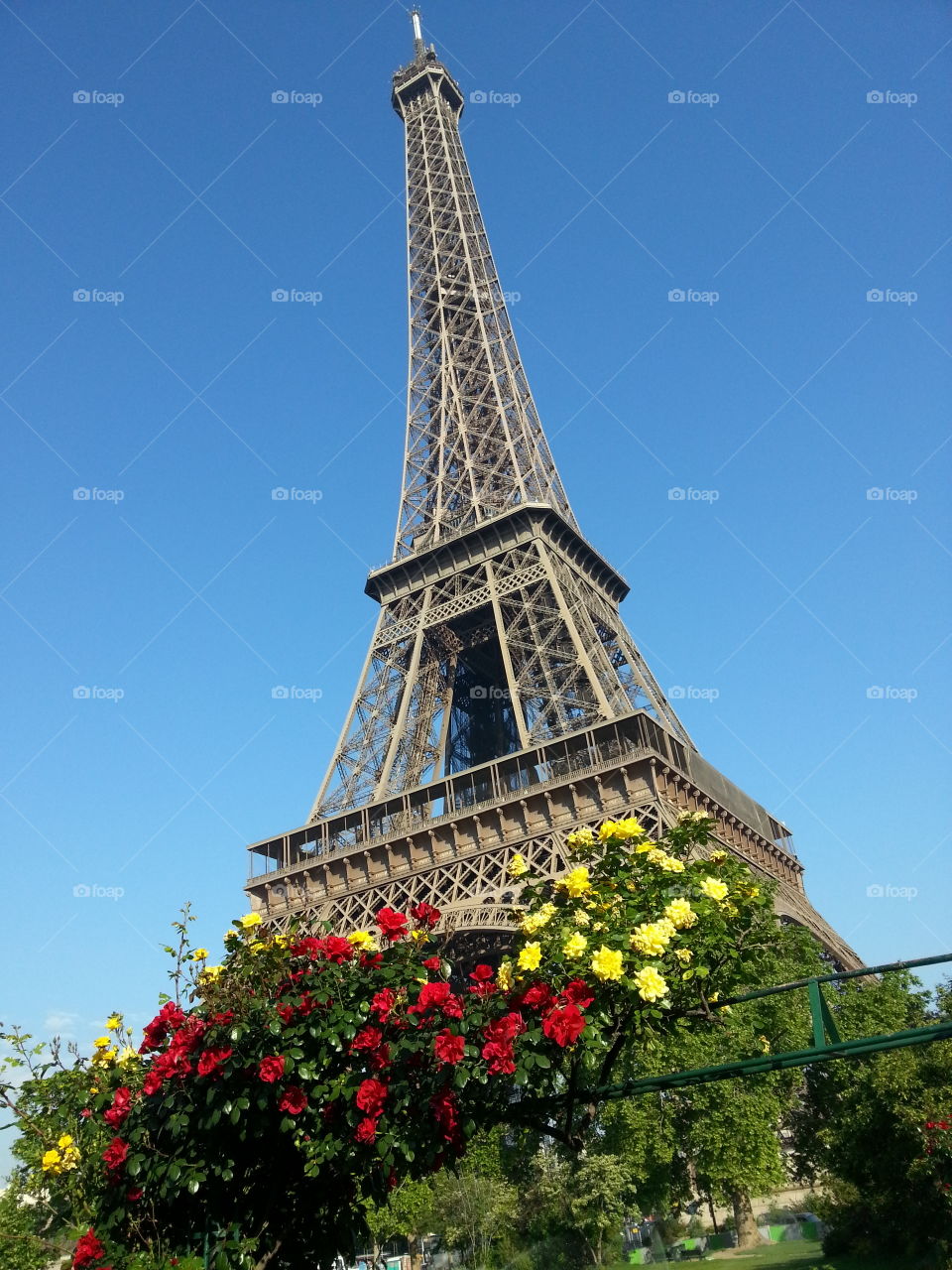 tower and roses