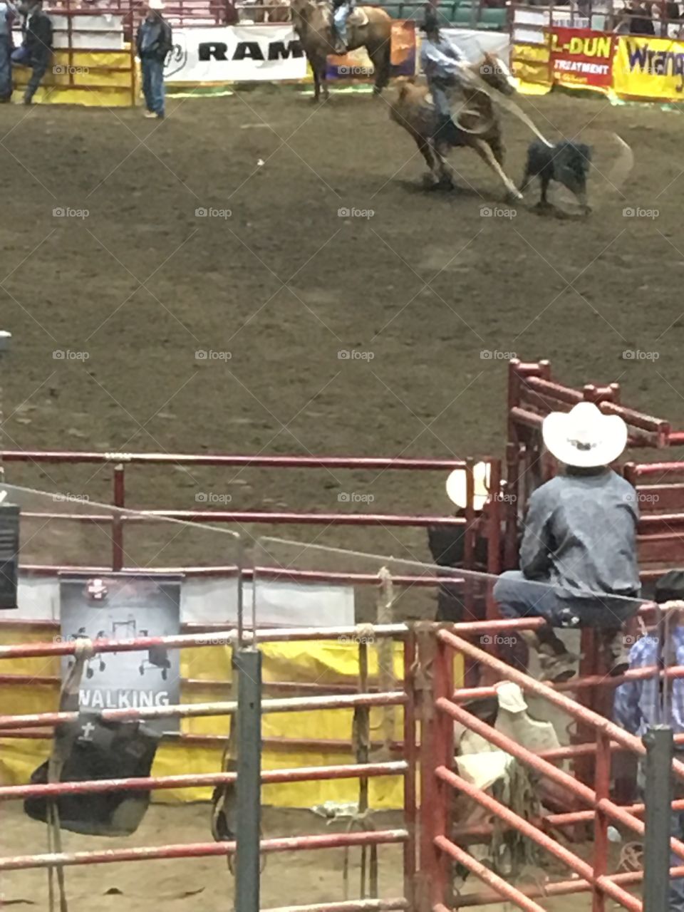 At the Rodeo 