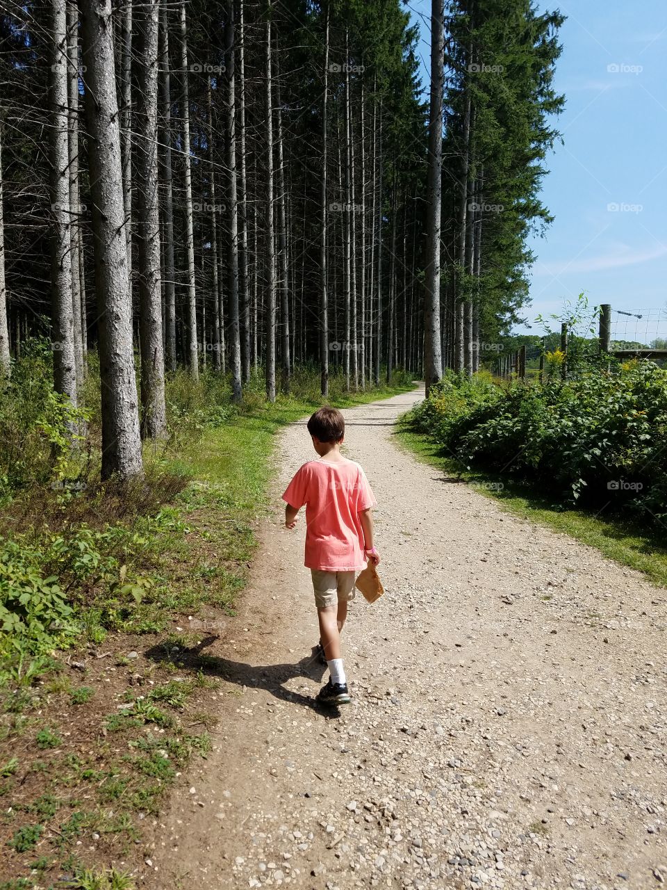 Rear view of a boy walking on dirt road