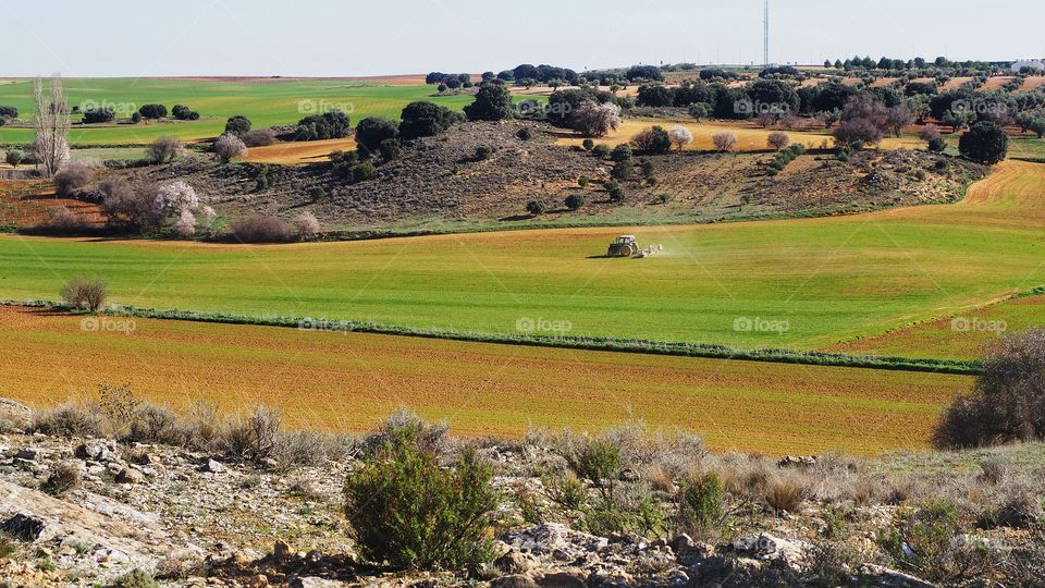 Agricultura
 farming