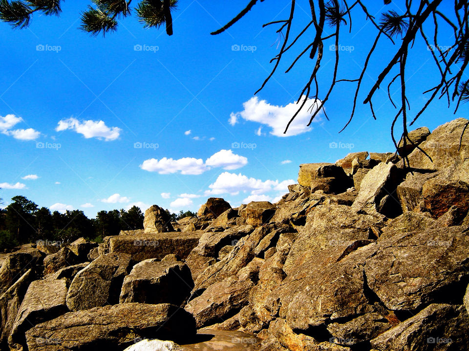 trees rocks boulders united states by refocusphoto