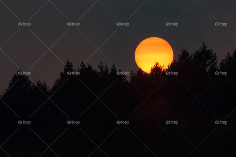 Sun sets behind the silhouette of tree tops 