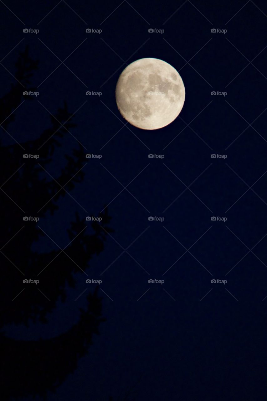 Close-up of full moon at night