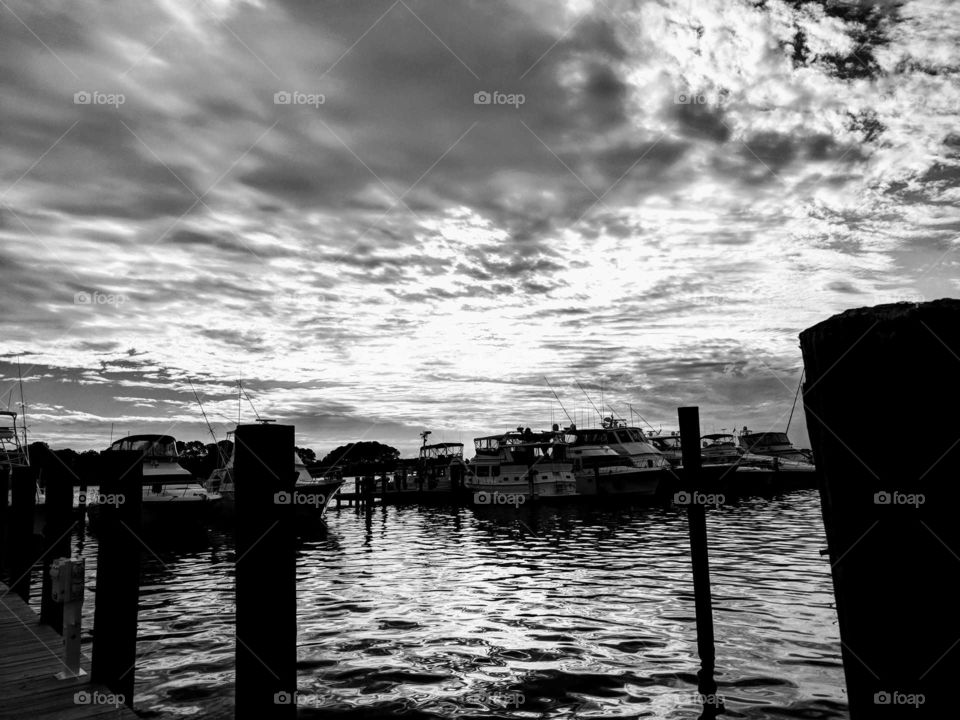 sunset at the marina black and white