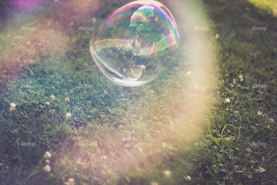 View of bubble on grassy field