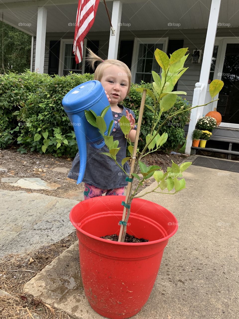 Watering flowers 