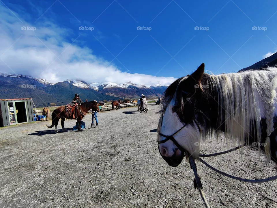 Horse ride at Glenorchy