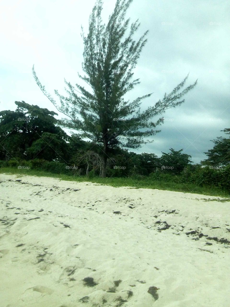 when you see this photo is so cute with all limes and pattern it makes and the back drop is a mazing .