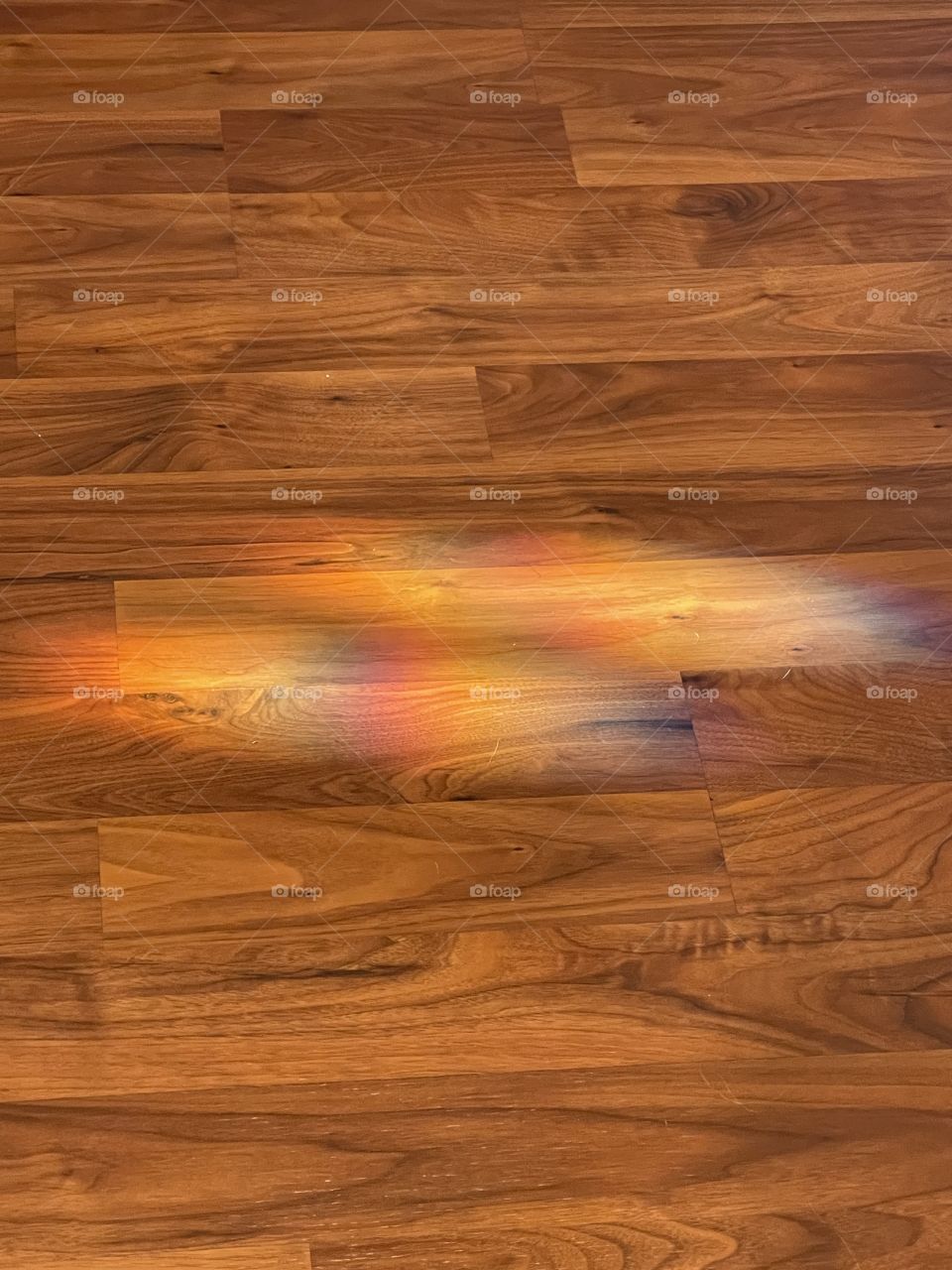 Rainbow on the floor