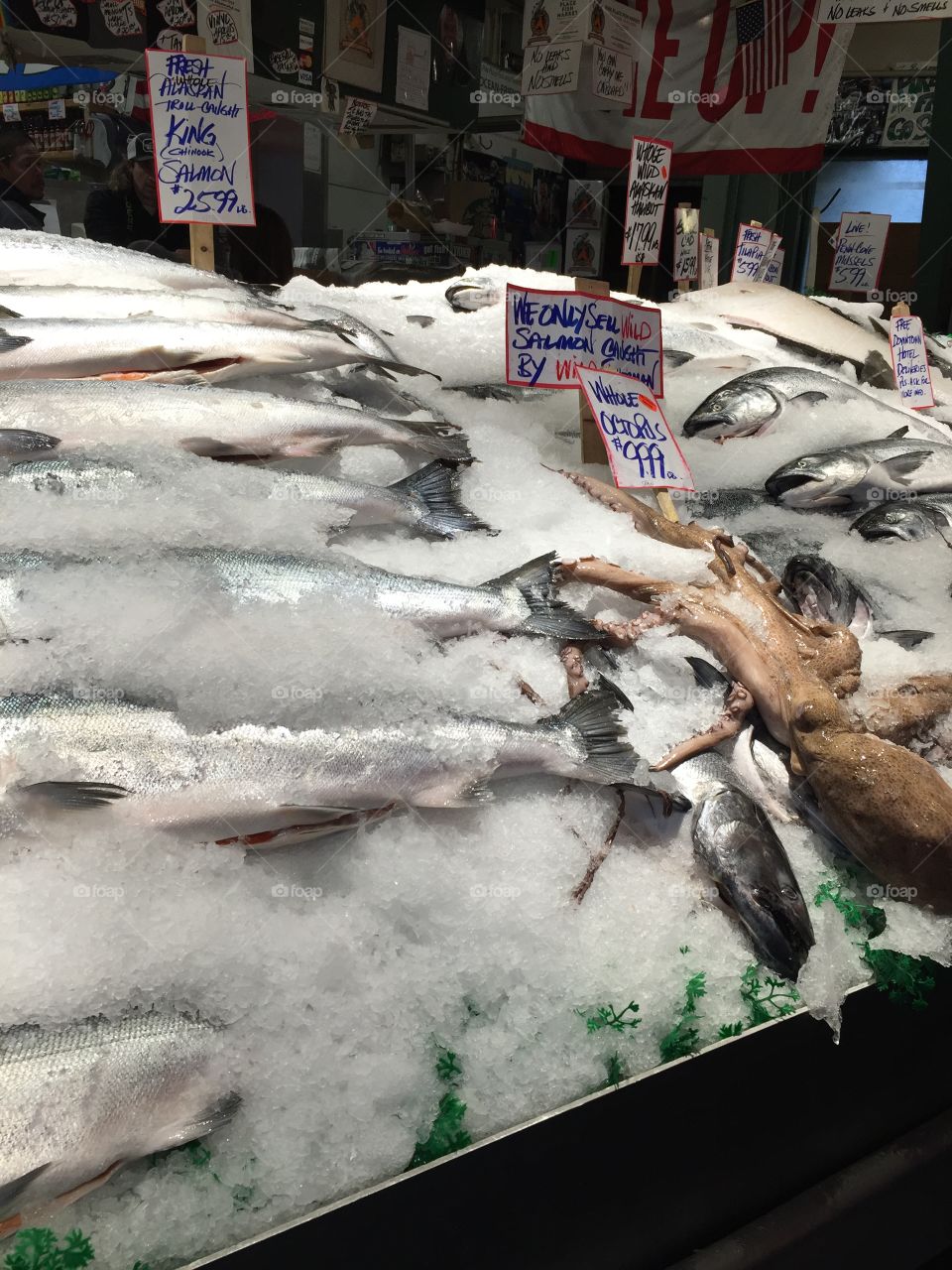 Seattle fish market, fishes, octopus, ice, pike place, market place, store, grocery store, Stand, seafood, live fish 