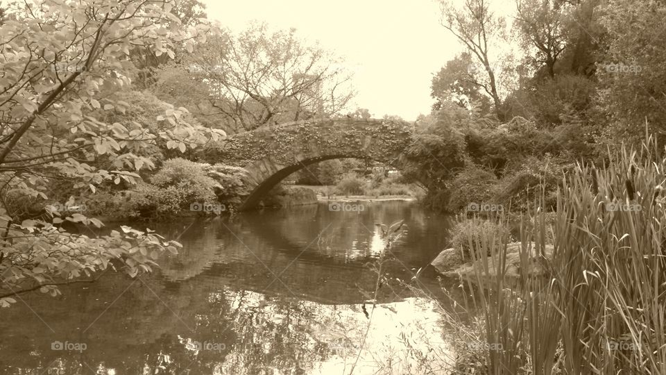 Central Park Stone Bridge