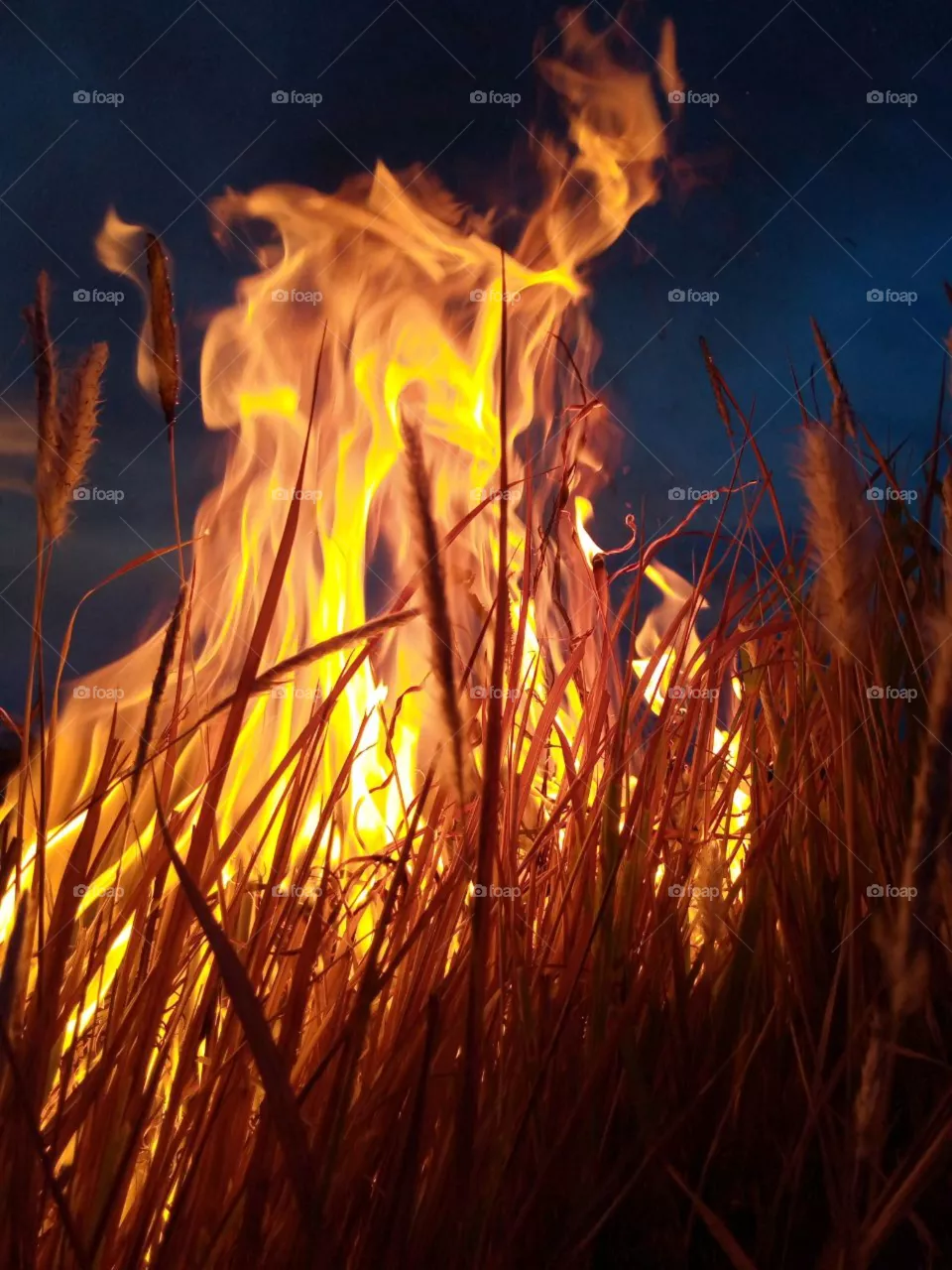 Fire