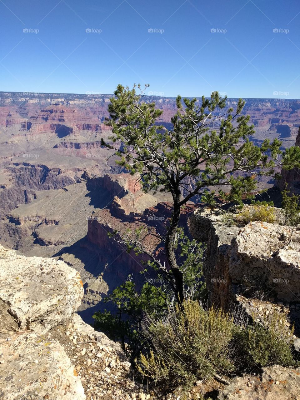 Grand Canyon, AZ