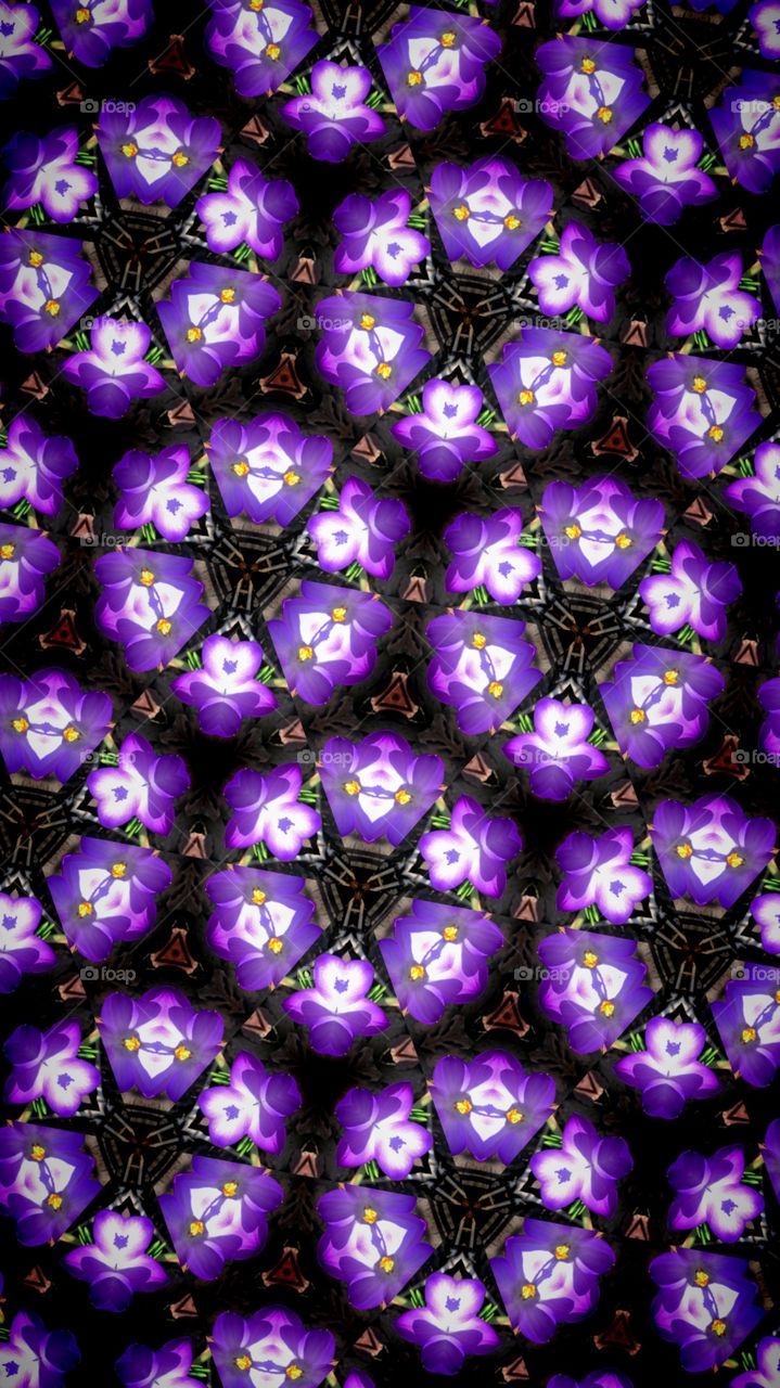 Flower Kaleidoskop 