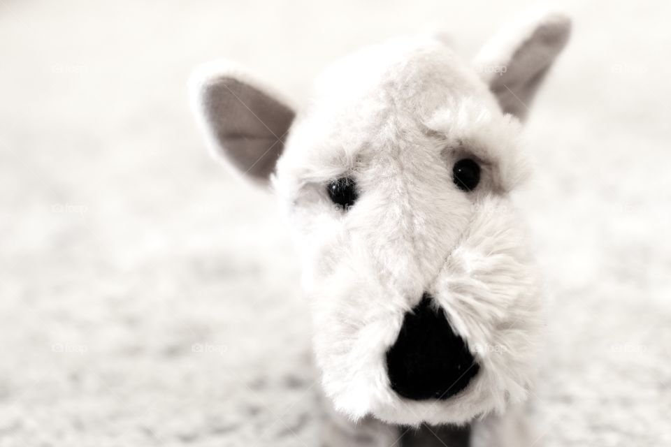 my daughter&#x27;s toys