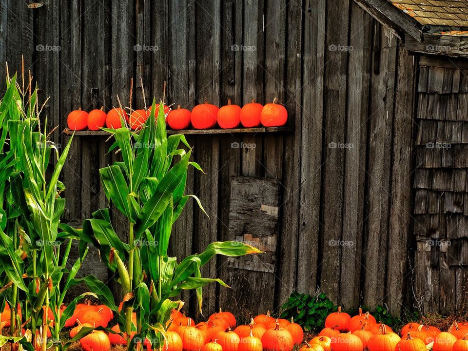 Rural America Halloween spirit