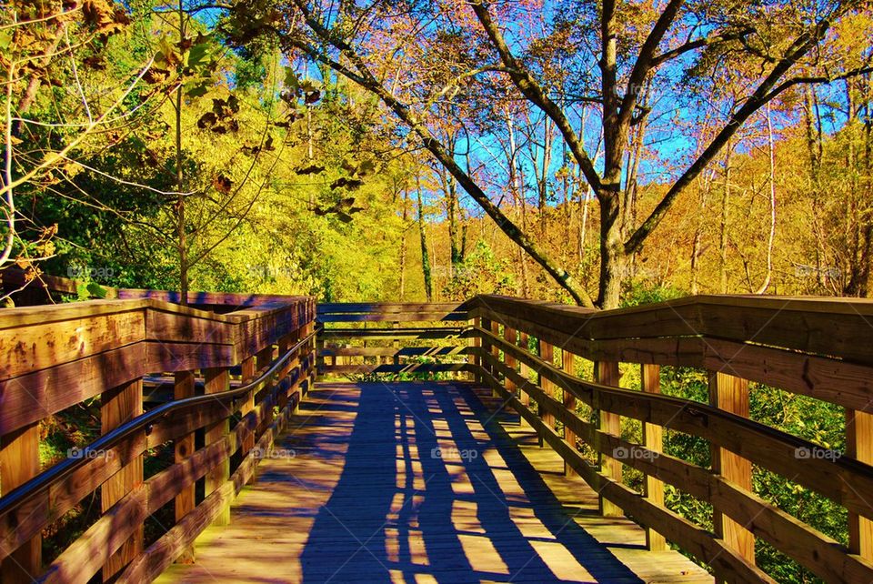 Boardwalk in the Fall