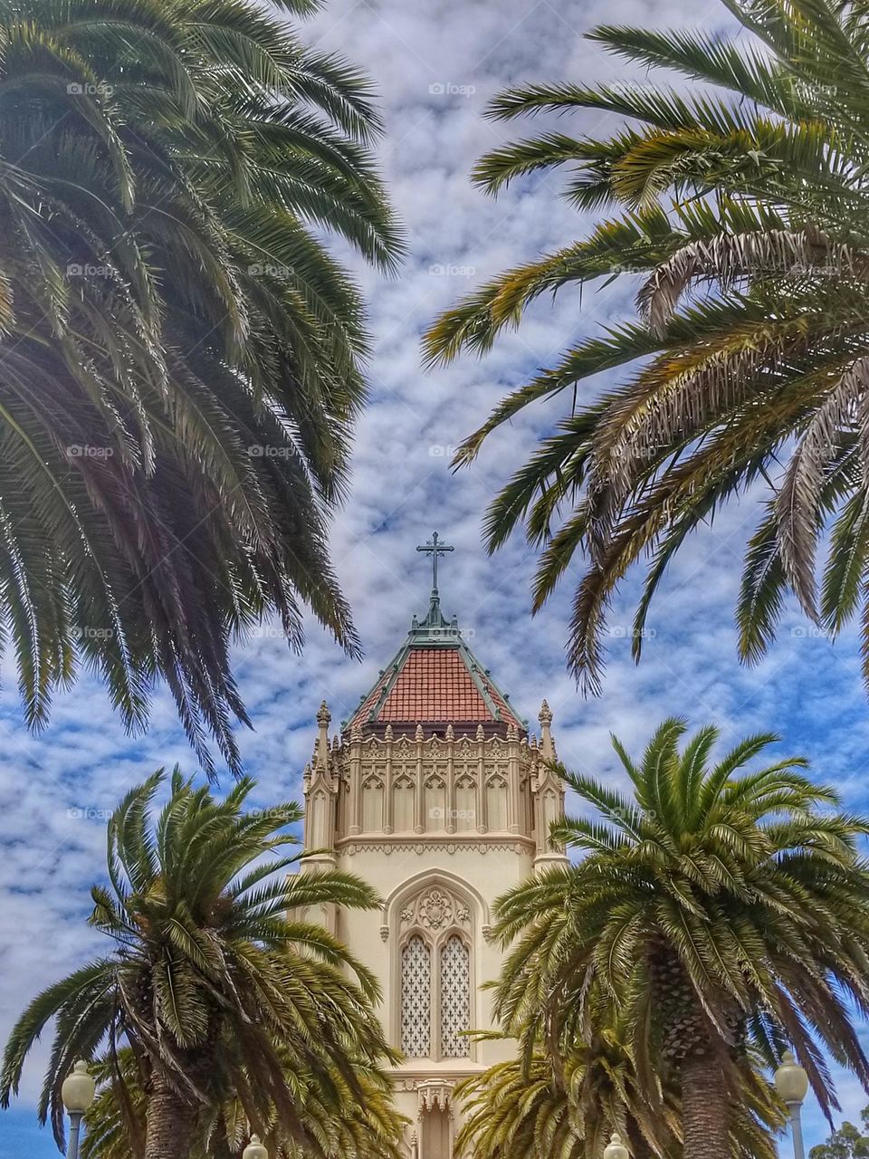 Lone mountain campus of the university of San Francisco, palm trees, beautiful blue skies with clouds, gothic architecture with a cross on top