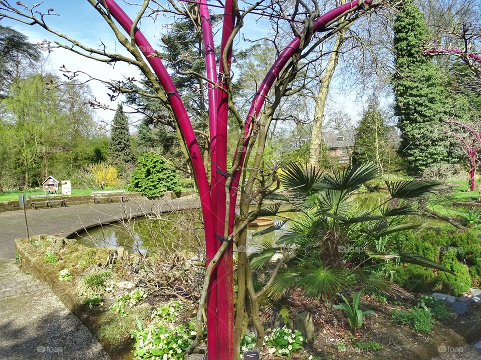 Parc in the springtime