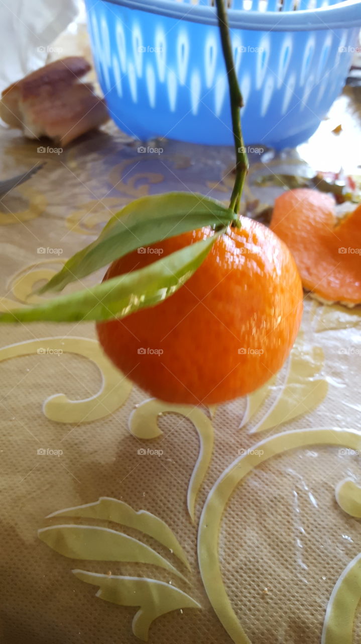 marrocan orange