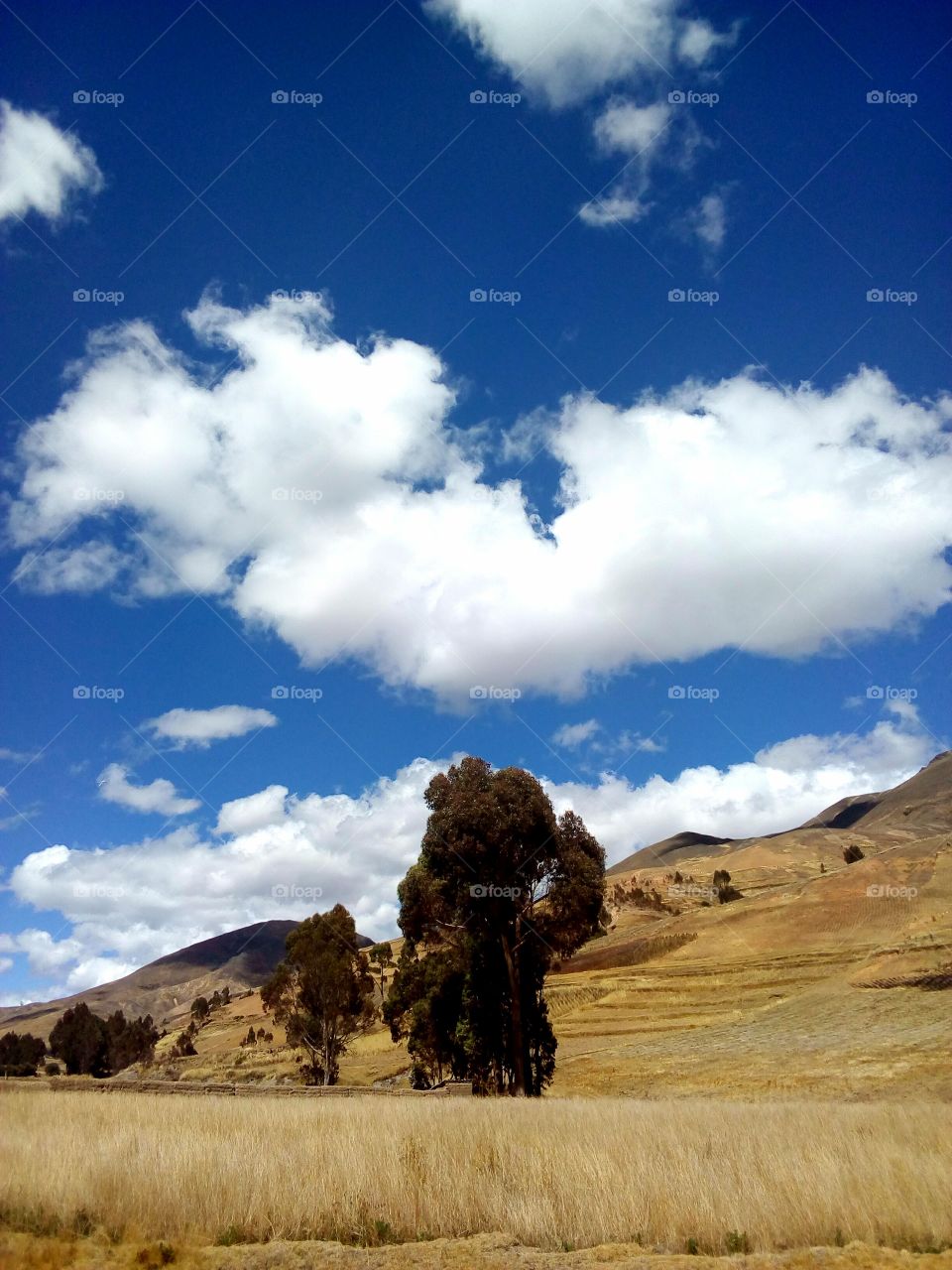 Apacible mañana con nubes de los Andes