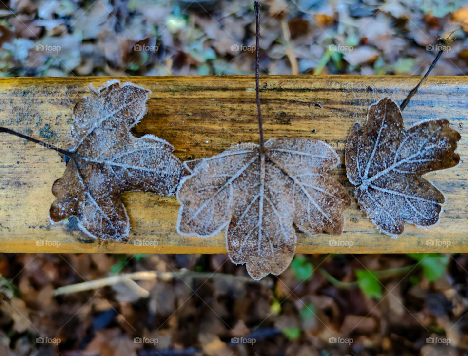 Triple nature