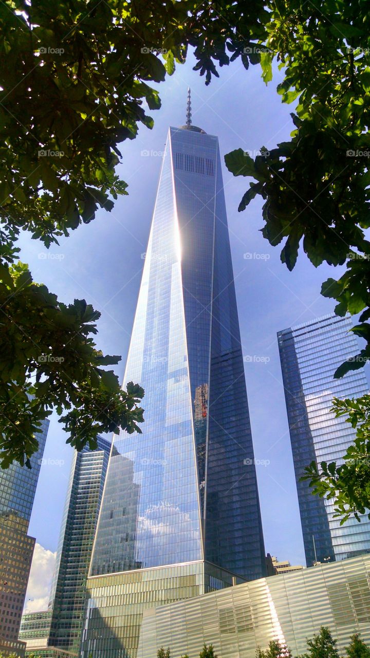 New York City Freedom tower