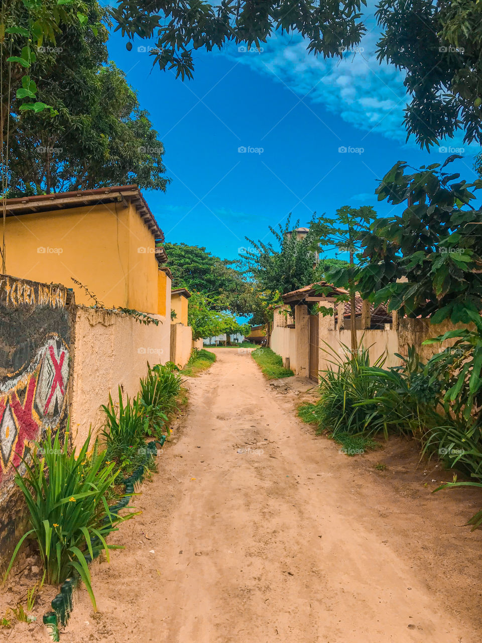 way to Cumuruxatiba Beach Bahia Brasil