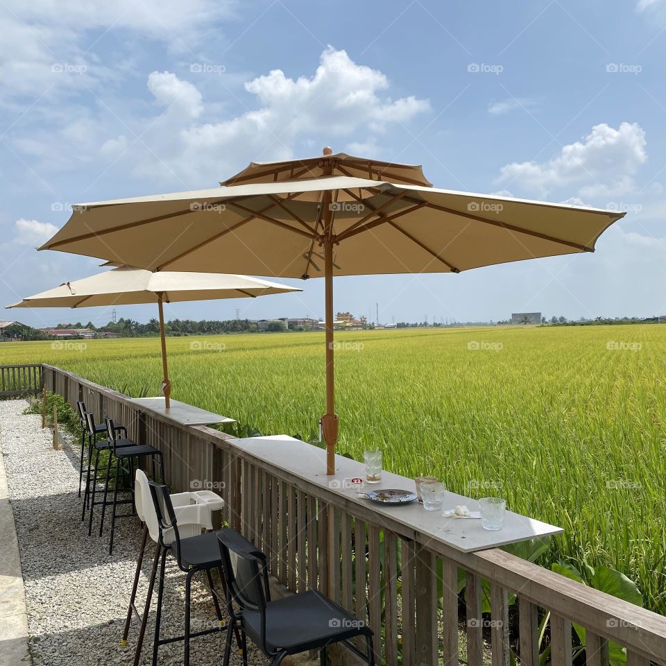 Sunshine and scenery