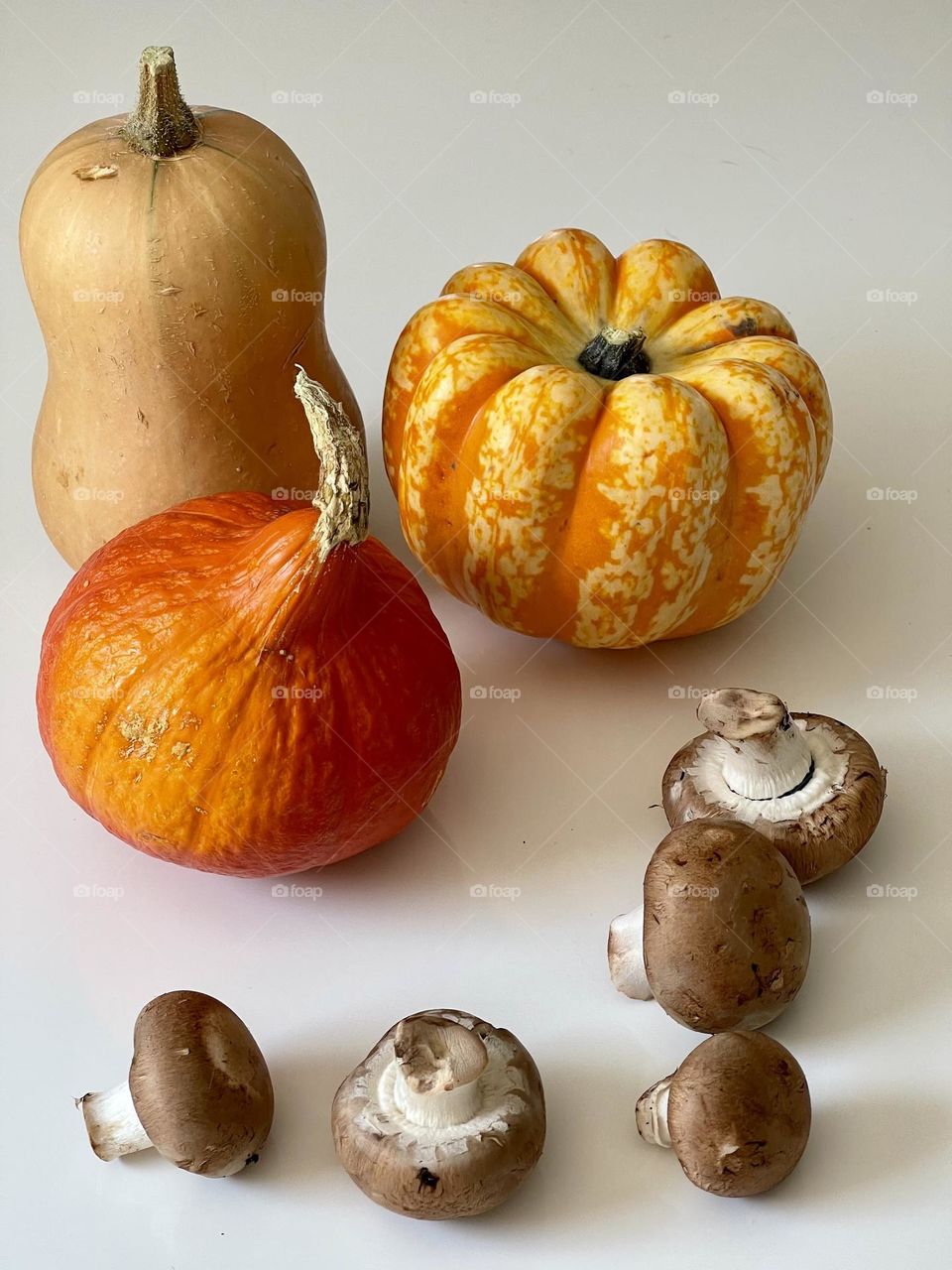 Assorted pumpkins, squashes and mushrooms against white background, autumn harvest, studio shot 