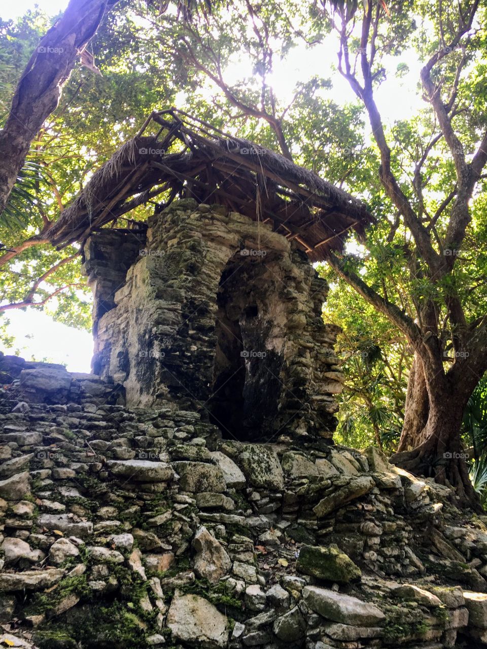 Antigua ruina Maya